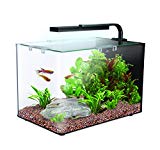 Interpet Nano Kit de acuario LED completo