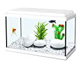 Acuario infantil, color blanco