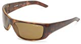Mejores gafas de sol arnette