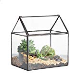 House Shape Close Glass Geometric Terrariumn Tabletop Succulent Plant Box Planter Moss Fern with Swing Lid by NCYP