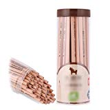 Lápices de madera natural Raw Lápices 2B Oficina Material escolar grafito lápices pintura dibujo suministros de arte lápices 30 piezas