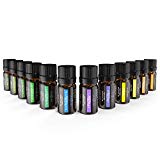 Aceites Esenciales Aromaterapia Anjou 12 Aceites 100% Natural Puro (Lavanda, Naranja Dulce, Árbol de Té, Eucalipto, Hierba de Limón, Menta, Bergamota, Incienso, Limón y Extra) para Humidificador