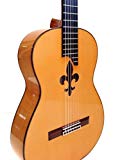 Guitarra TOLEDO TF-70 LIS flamenca