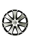 Goodyear GOD9043 Juego Tapacubos DAYTONA, Set de 4, Plata/Negro, 15 Pulgadas