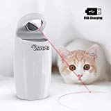Mejores juguetes para gatos