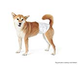 AmazonBasics - Pañal desechable para perro macho, XS, paquete de 30 unidades