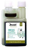 Doxel Senior-100ml Aceite para perros| Suplemento| Antiinflamatorio| Anti envejecimiento| Articulaciones sanas| Sistema inmunitario| Ácidos grasos Omega 3 6 9| Vitamina E| Masa muscular|Perros mayores