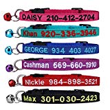 Mejores collares para gatos