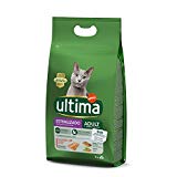 Mejores piensos para gatos