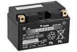 Batería Yuasa YTZ10S - No requiere mantenimiento
