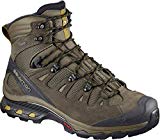 SALOMON Quest 4D 3 GTX Botas de Senderismo, Hombre, Gris (WREN/Bungee Cord/Green Sulphur 000), 42 2/3 EU