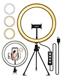 "ELEGIANT Anillo de Luz LED Fotografia 10.2"" de Escritorio, Aro de Luz con Trípode Control Remoto Inalámbrico 3 Colores, 11 Brillos Altura Regulable para Móvil Selfie Maquillaje Youtube TIK Tok Live"